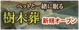 ペットと眠る樹木葬